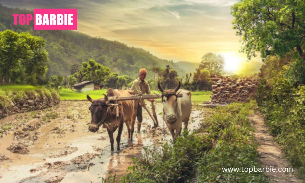 PM Kisan Samman Nidhi: किसानों को मिलेगा बड़ा तोहफा,मिलने वाली सहायता राशि में होगा बदलाव